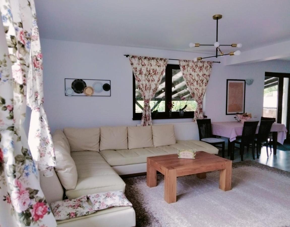 Vila Roxana Pangarati Exteriér fotografie